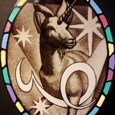 Sotto il segno della CAPRICORNO